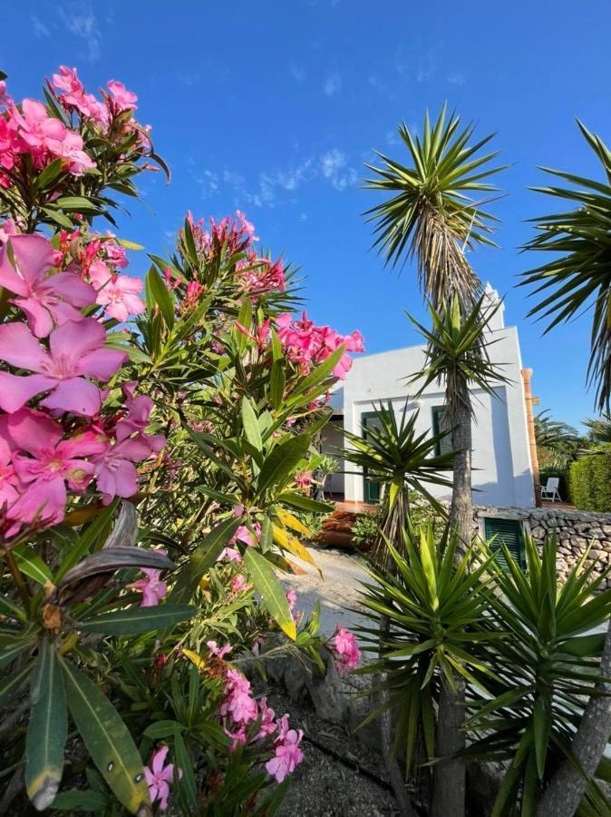 Villa Dei Gabbiani Favignana Exteriér fotografie